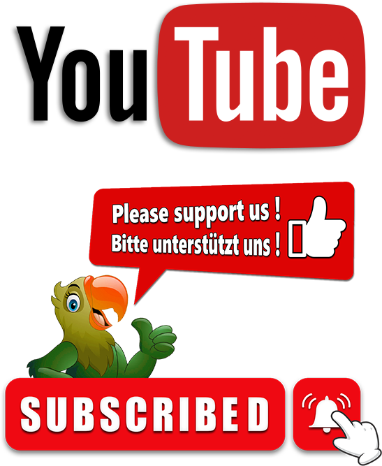 youtube promo